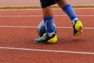 体育新闻中心解读体育政策与趋势，体育新闻发展